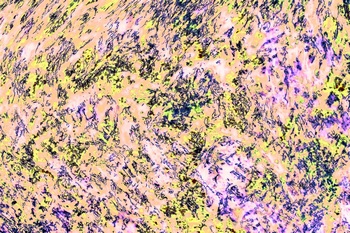 AP 173C1